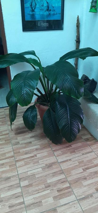 Vivienda Vacacional Sabinosa Buitenkant foto