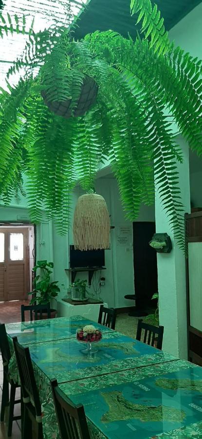 Vivienda Vacacional Sabinosa Buitenkant foto