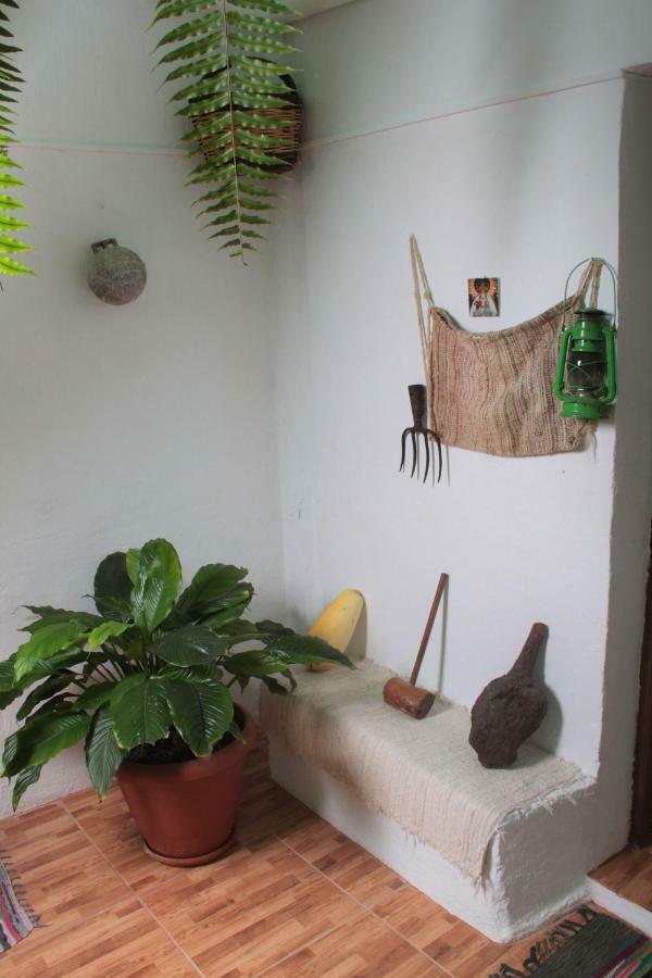 Vivienda Vacacional Sabinosa Buitenkant foto